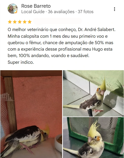Avaliação 5 estrelas no Google