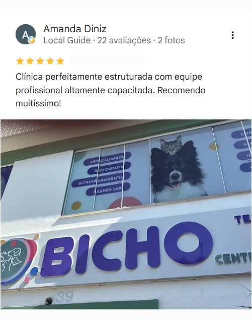 Avaliação 5 estrelas no Google