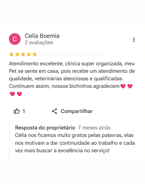 Avaliação 5 estrelas no Google